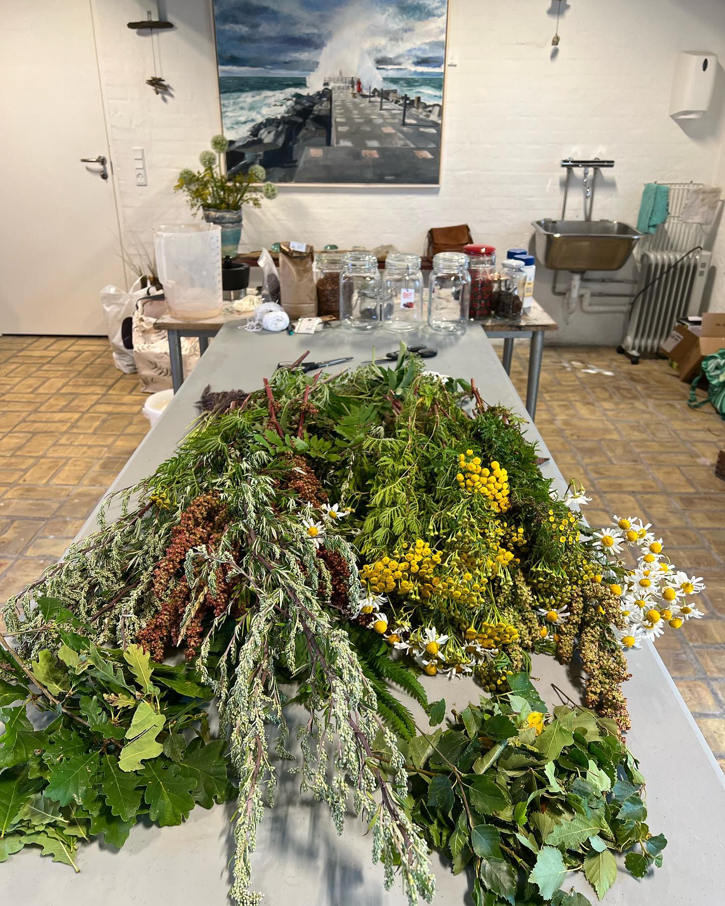 294267915 1200936960682519 2952036091254537015 N