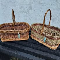 508452777 3164668743708920 1365509211198711050 N